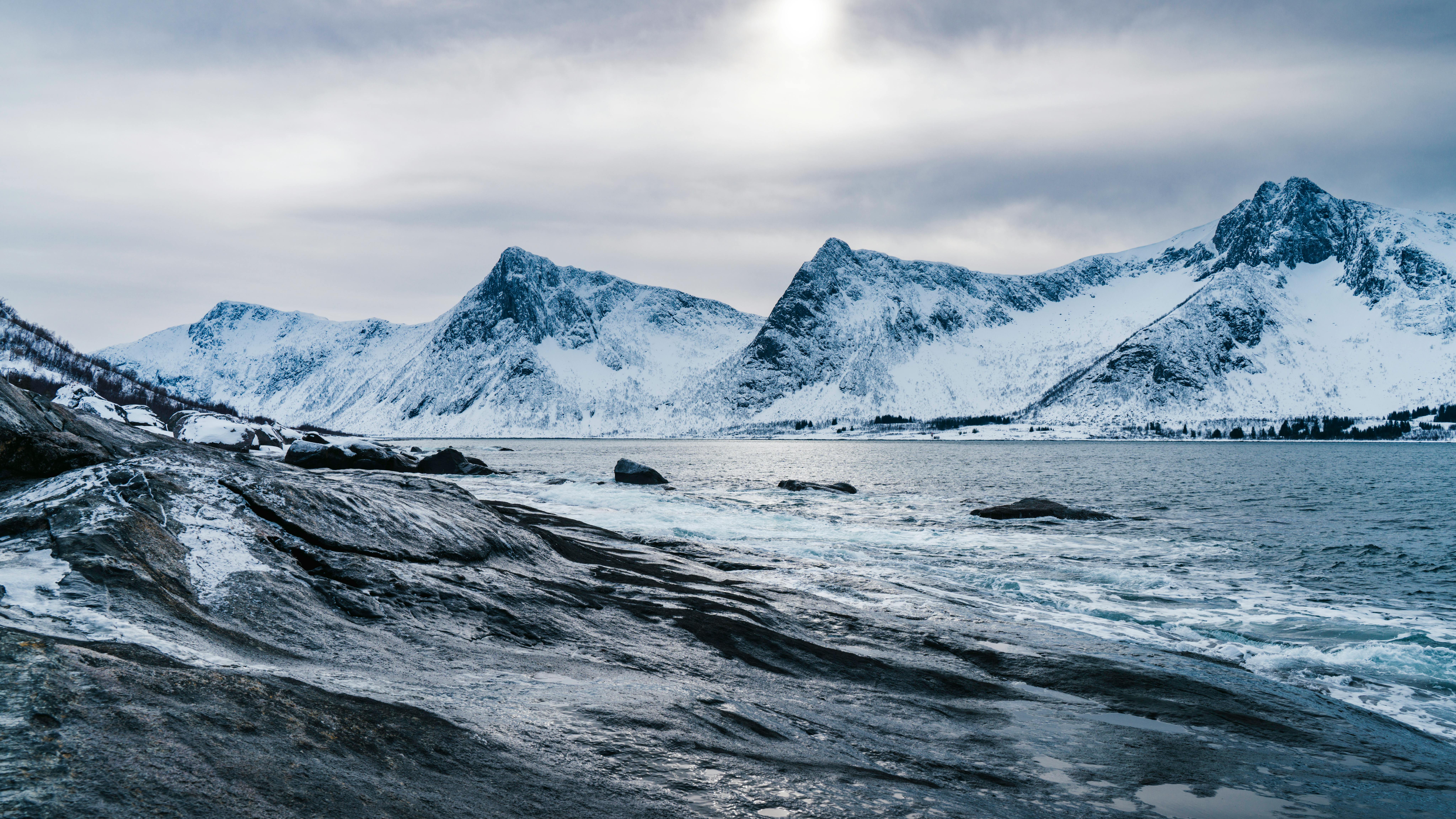 Arctic Tundra